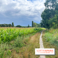 Le long de l'Oise, entre Auvers-sur-Oise et l'Isle-Adam