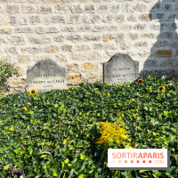 Le long de l'Oise, entre Auvers-sur-Oise et l'Isle-Adam