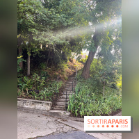 Le long de l'Oise, entre Auvers-sur-Oise et l'Isle-Adam - image00014