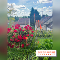 Le long de l'Oise, entre Auvers-sur-Oise et l'Isle-Adam