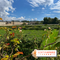 Potager du Roi