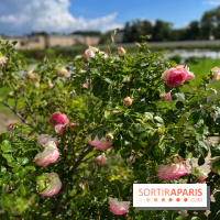 Potager du Roi