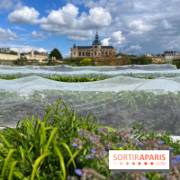 Potager du Roi