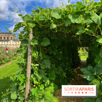 Potager du Roi