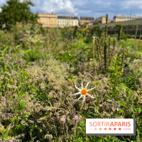 Potager du Roi