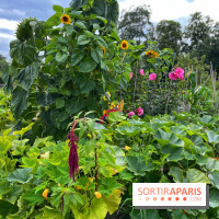 Potager du Roi