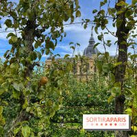 Potager du Roi