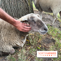 La ferme de Saint-Cyr l'Ecole - image00075