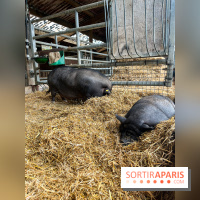 La ferme de Saint-Cyr l'Ecole - image00060