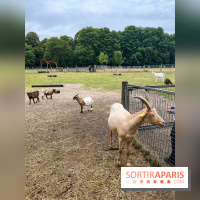 La ferme de Saint-Cyr l'Ecole - image00055