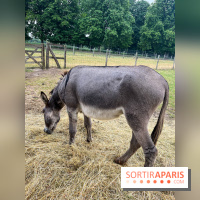 La ferme de Saint-Cyr l'Ecole - image00050
