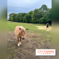 La ferme de Saint-Cyr l'Ecole - image00045