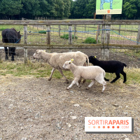 La ferme de Saint-Cyr l'Ecole - image00041
