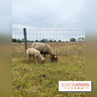 La ferme de Saint-Cyr l'Ecole