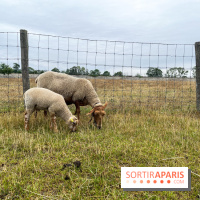 La ferme de Saint-Cyr l'Ecole - image00043