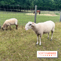 La ferme de Saint-Cyr l'Ecole - image00040