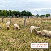 La ferme de Saint-Cyr l'Ecole - image00036