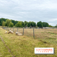La ferme de Saint-Cyr l'Ecole