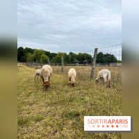 La ferme de Saint-Cyr l'Ecole