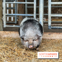 La ferme de Saint-Cyr l'Ecole - image00023