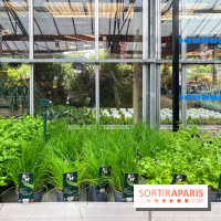 La ferme de Saint-Cyr l'Ecole - image00013