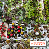 La ferme de Saint-Cyr l'Ecole - image00001