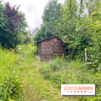 Le parc de la Haute-Île à Neuilly-sur-Marne - image00007