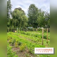 Les Rives de Paris, l'unique camping du 93 à Neuilly-sur-Marne - image00065