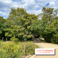 Le parc Georges Brassens, pour se croire à la campagne dans le 15e - image00074