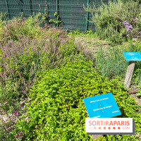 Le parc Georges Brassens, pour se croire à la campagne dans le 15e - image00061
