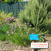 Le parc Georges Brassens, pour se croire à la campagne dans le 15e - image00064