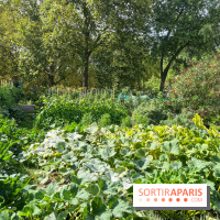 Le parc Georges Brassens, pour se croire à la campagne dans le 15e