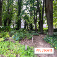 Le parc Georges Brassens, pour se croire à la campagne dans le 15e - image00037