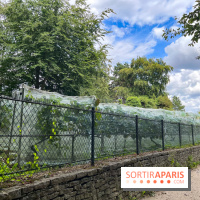 Le parc Georges Brassens, pour se croire à la campagne dans le 15e