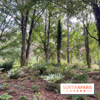Le parc Georges Brassens, pour se croire à la campagne dans le 15e - image00034