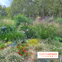 Le parc Georges Brassens, pour se croire à la campagne dans le 15e - image00017