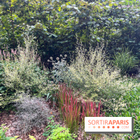 Le parc Georges Brassens, pour se croire à la campagne dans le 15e - image00018