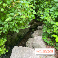 Le parc Georges Brassens, pour se croire à la campagne dans le 15e - image00019