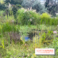 Le parc Georges Brassens, pour se croire à la campagne dans le 15e