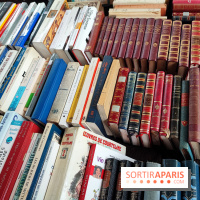 Marché du livre ancien et d'occasion - IMG 20230812 121653