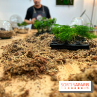 Boby la Plante - IMG 4340