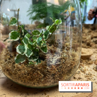 Boby la Plante