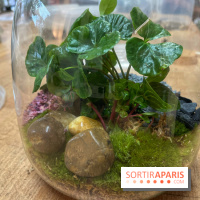 Boby la Plante