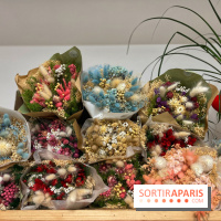 Boby la Plante - IMG 4353