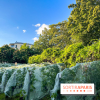 Vignes de Belleville - image00006