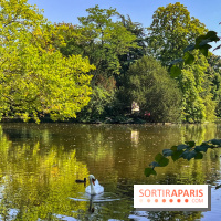 Les lacs et rivières du Vésinet, dans les Yvelines