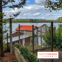 L'étang de la Galiotte dans le parc du Peuple de l'Herbe - Carrières-sous-Poissy (Yvelines) - image00011