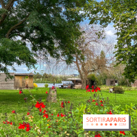 L'étang de la Galiotte dans le parc du Peuple de l'Herbe - Carrières-sous-Poissy (Yvelines) - image00016