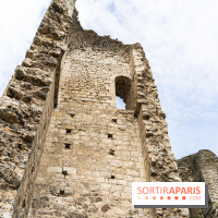 Grez-sur-Loing, le charmant village de Seine-et-Marne  -  A7C9378