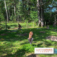 Espace Rambouillet - IMG 4450